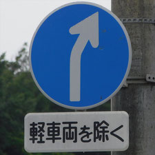 異形矢印標識(指定方向外進行禁止)。静岡県伊豆市にある。
