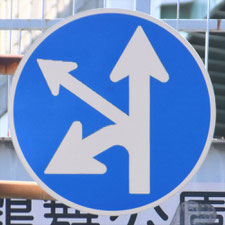 異形矢印標識(指定方向外進行禁止)。愛知県名古屋市にある。