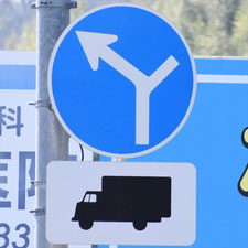 異形矢印標識(指定方向外進行禁止)。栃木県足利市にある。