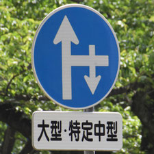 異形矢印標識(指定方向外進行禁止)。茨城県日立市にある。