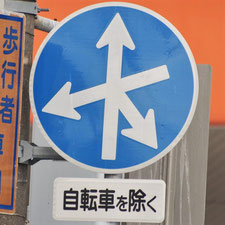 異形矢印標識(指定方向外進行禁止)。広島県広島市にある。