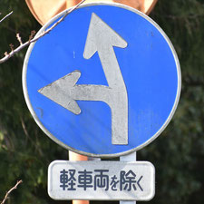 異形矢印標識(指定方向外進行禁止)。静岡県熱海市にある。
