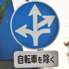 異形矢印標識(指定方向外進行禁止)。広島県広島市にある。