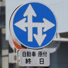 異形矢印標識(指定方向外進行禁止)。熊本県熊本市にある。