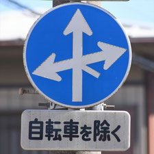 異形矢印標識(指定方向外進行禁止)。茨城県古河市にある。