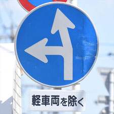 異形矢印標識(指定方向外進行禁止)。静岡県静岡市葵区にある。