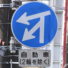 異形矢印標識(指定方向外進行禁止)。茨城県土浦市にある。
