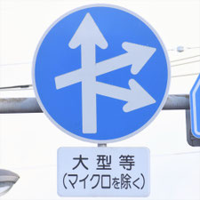 異形矢印標識(指定方向外進行禁止)。岐阜県羽島市にある。