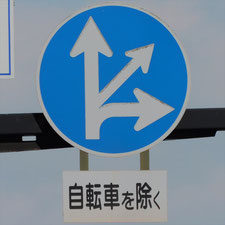 異形矢印標識(指定方向外進行禁止)。岡山県岡山市北区にある。