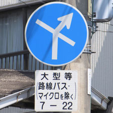 異形矢印標識(指定方向外進行禁止)。広島県呉市にある。