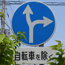 異形矢印標識(指定方向外進行禁止)。茨城県土浦市にある。