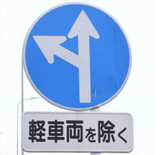 異形矢印標識(指定方向外進行禁止)。静岡県焼津市にある。