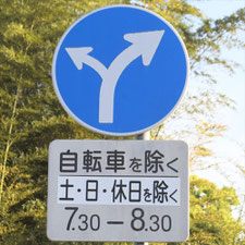 異形矢印標識(指定方向外進行禁止)。茨城県水戸市にある。