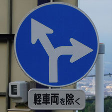 異形矢印標識(指定方向外進行禁止)。静岡県沼津市にある。