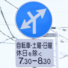 異形矢印標識(指定方向外進行禁止)。栃木県足利市にある。