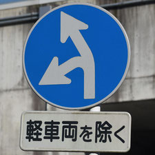異形矢印標識(指定方向外進行禁止)。静岡県静岡市葵区にある。