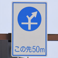 異形矢印標識(指定方向外進行禁止)。東京都練馬区にある。