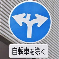 異形矢印標識(指定方向外進行禁止)。広島県広島市にある。