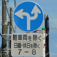 異形矢印標識(指定方向外進行禁止)。静岡県沼津市にある。