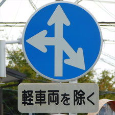 異形矢印標識(指定方向外進行禁止)。静岡県浜松市にある。
