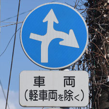 異形矢印標識(指定方向外進行禁止)。熊本県熊本市にある。