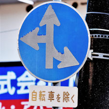 異形矢印標識(指定方向外進行禁止)。広島県広島市にある。