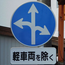 異形矢印標識(指定方向外進行禁止)。静岡県浜松市にある。