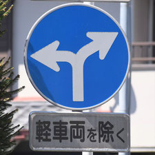 異形矢印標識(指定方向外進行禁止)。静岡県静岡市葵区にある。