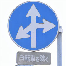 異形矢印標識(指定方向外進行禁止)。茨城県土浦市にある。
