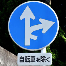 異形矢印標識(指定方向外進行禁止)。広島県福山市にある。