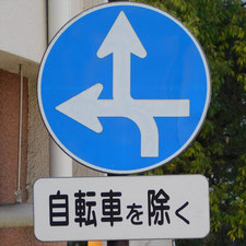 異形矢印標識(指定方向外進行禁止)。岡山県岡山市北区にある。