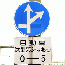 異形矢印標識(指定方向外進行禁止)。徳島県徳島市にある。