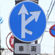異形矢印標識(指定方向外進行禁止)。栃木県宇都宮市にある。