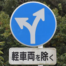 異形矢印標識(指定方向外進行禁止)。静岡県焼津市にある。