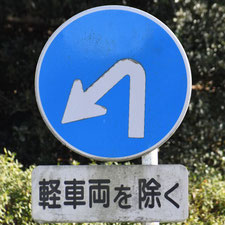 異形矢印標識(指定方向外進行禁止)。静岡県焼津市にある。