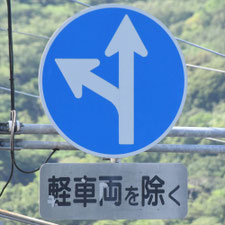 異形矢印標識(指定方向外進行禁止)。静岡県東伊豆町にある。
