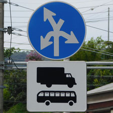異形矢印標識(指定方向外進行禁止)。静岡県沼津市にある。