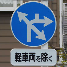 異形矢印標識(指定方向外進行禁止)。静岡県浜松市にある。