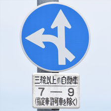 異形矢印標識(指定方向外進行禁止)。長野県佐久市にある。