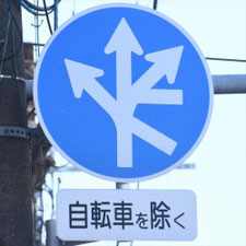 異形矢印標識(指定方向外進行禁止)。東京都目黒区にある。