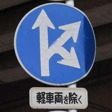 異形矢印標識(指定方向外進行禁止)。千葉県千葉市にある。