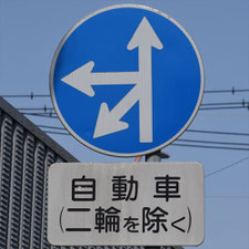 異形矢印標識(指定方向外進行禁止)。茨城県土浦市にある。