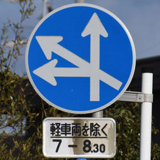 異形矢印標識(指定方向外進行禁止)。静岡県焼津市にある。