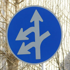 異形矢印標識(指定方向外進行禁止)。神奈川県座間市にある。