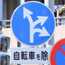 異形矢印標識(指定方向外進行禁止)。東京都北区にある。
