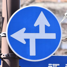 異形矢印標識(指定方向外進行禁止)。長野県諏訪市にある。