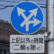異形矢印標識(指定方向外進行禁止)。栃木県足利市にある。