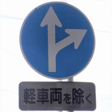 異形矢印標識(指定方向外進行禁止)。静岡県焼津市にある。