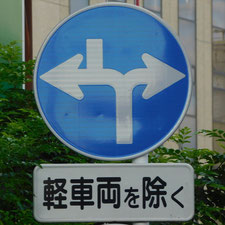 異形矢印標識(指定方向外進行禁止)。静岡県浜松市にある。
