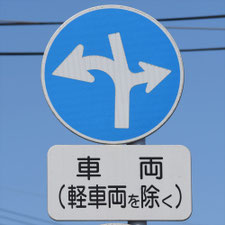 異形矢印標識(指定方向外進行禁止)。熊本県熊本市にある。